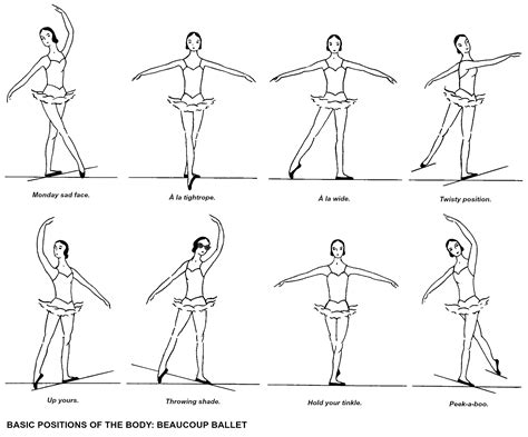 ballerina sexual position|Ballet Positions and Dance Moves, Explained .